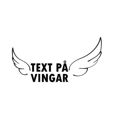 Text på vingar